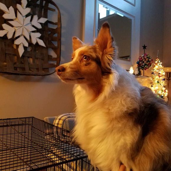 Meet your Posher, Renee - Picture 1 of 1